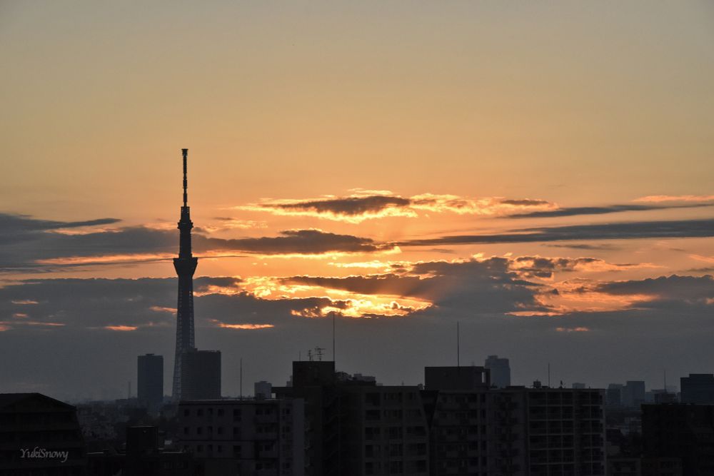 2025-11-16 06:27 Tokyo