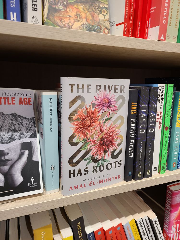 A close up of the gorgeous cover of The River Has Roots. 