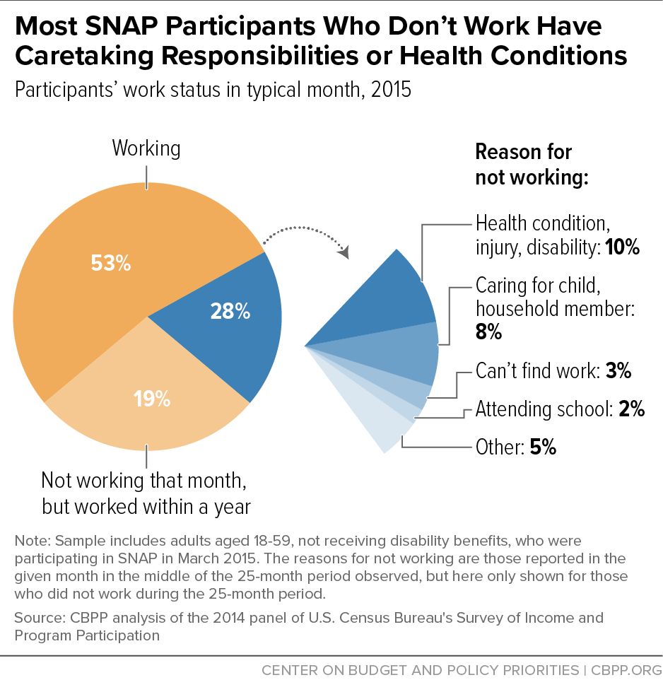 Pie chart: 53% working in a typical month; 28% not working that month but worked within a year; 19% didn’t work within a year. Reasons: health 10%, caregiving 8%, can’t find work 3%, school 2%, other 5%.
