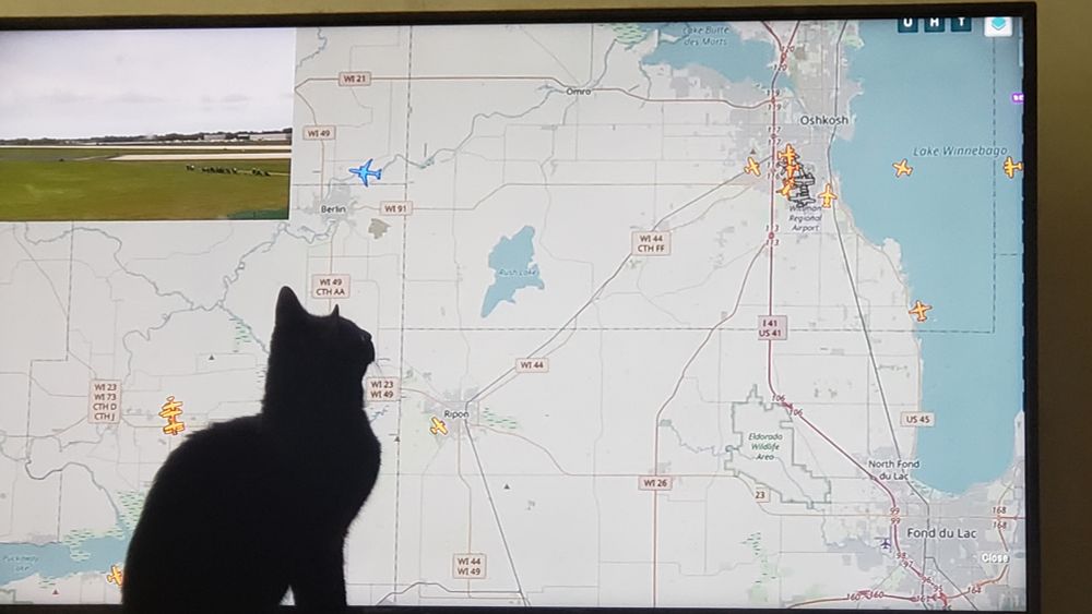 Black cat in front of a screen showing planes coming in to Oshkosh. 