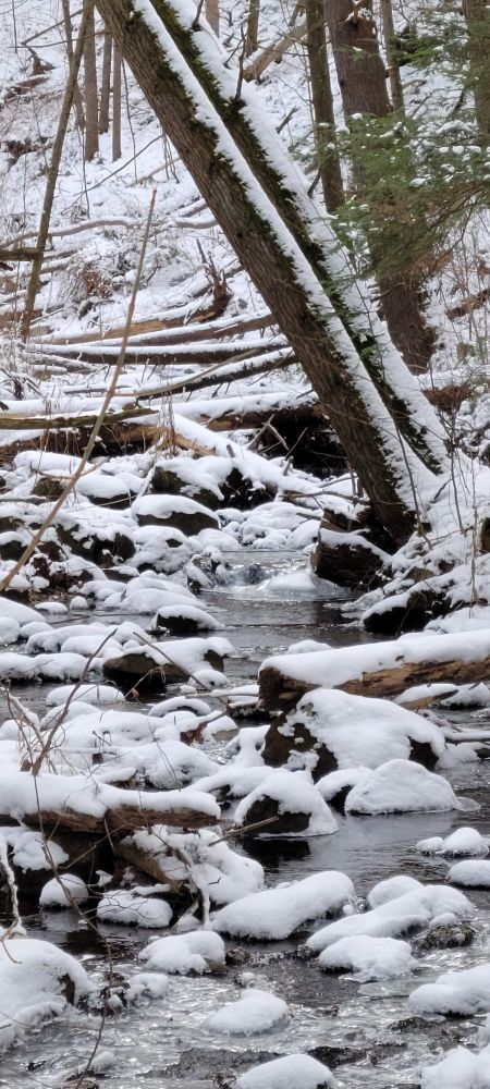 Fresh snow on half-frozen woodland creek