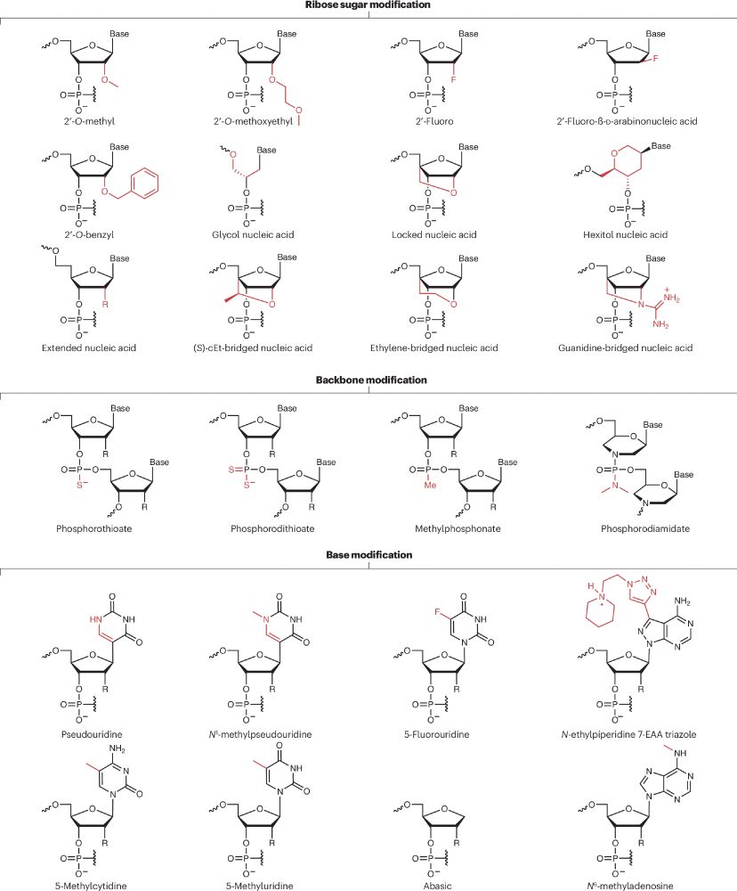 Chemical modifications of RNA