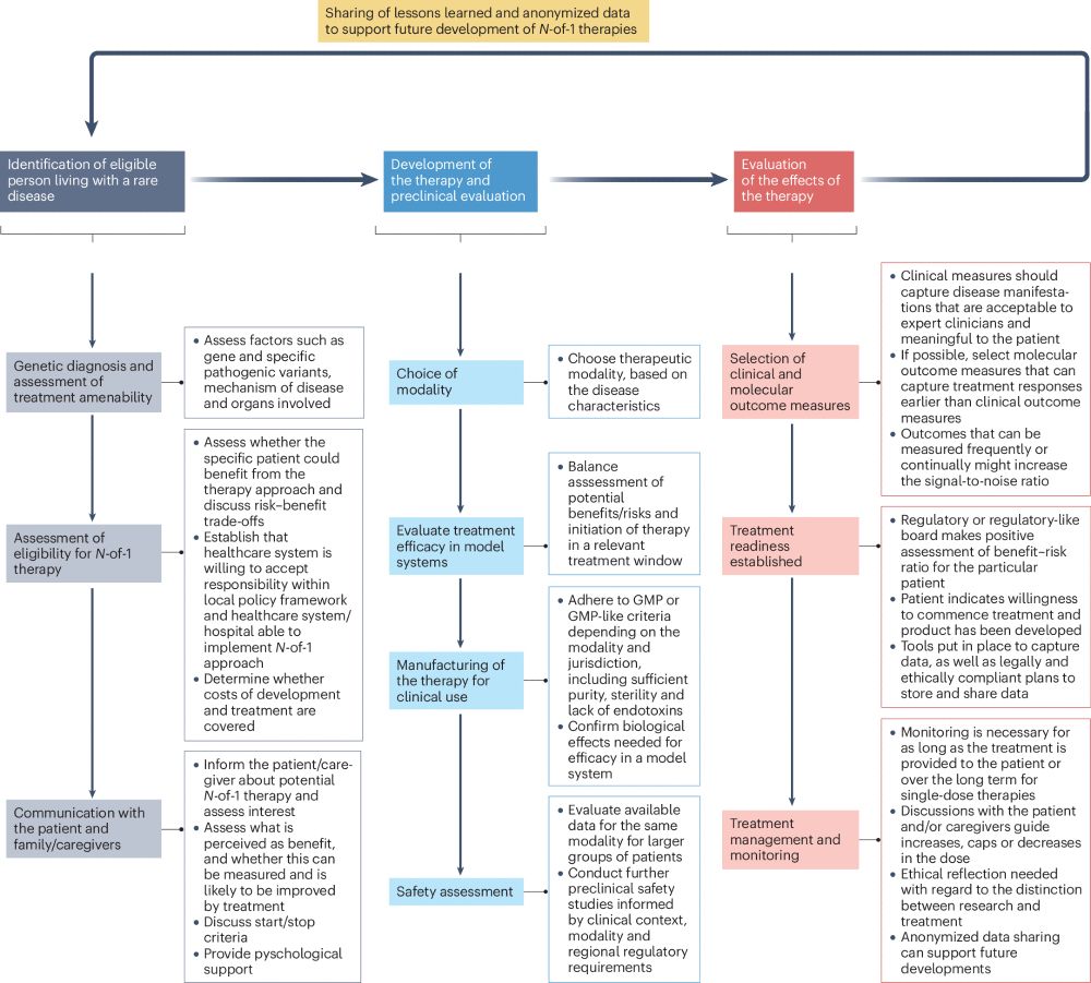 Roadmap for N-of-1 therapies