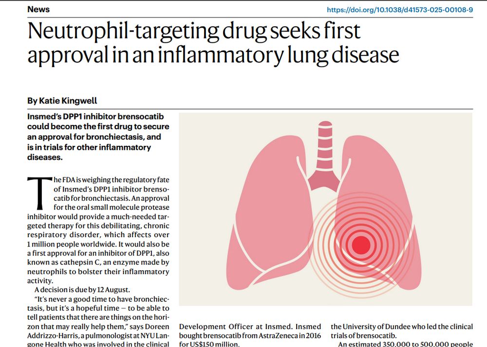 Screenshot of news story