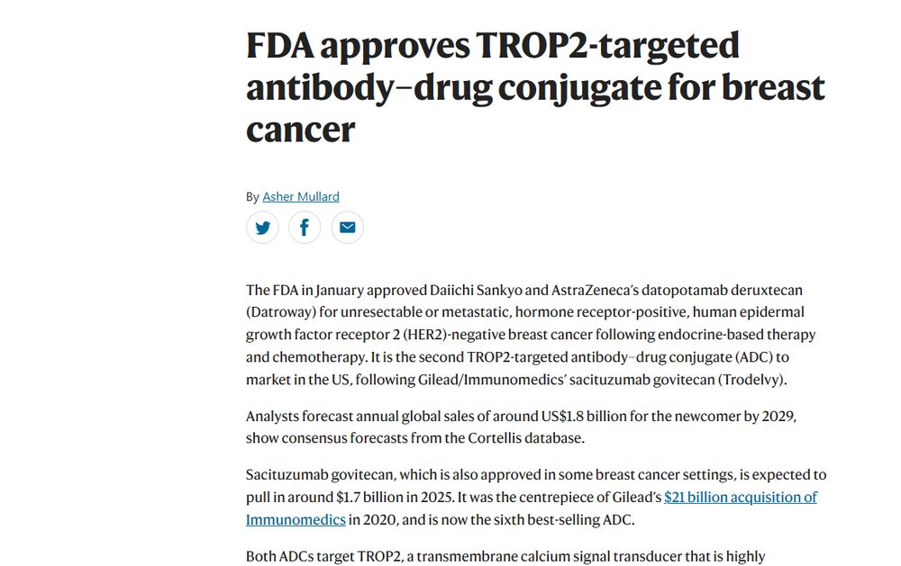 Screenshot of article