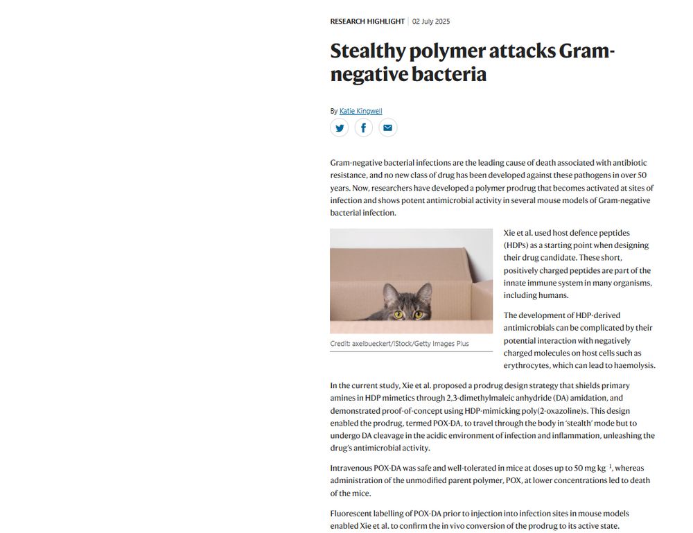 Screenshot of article
