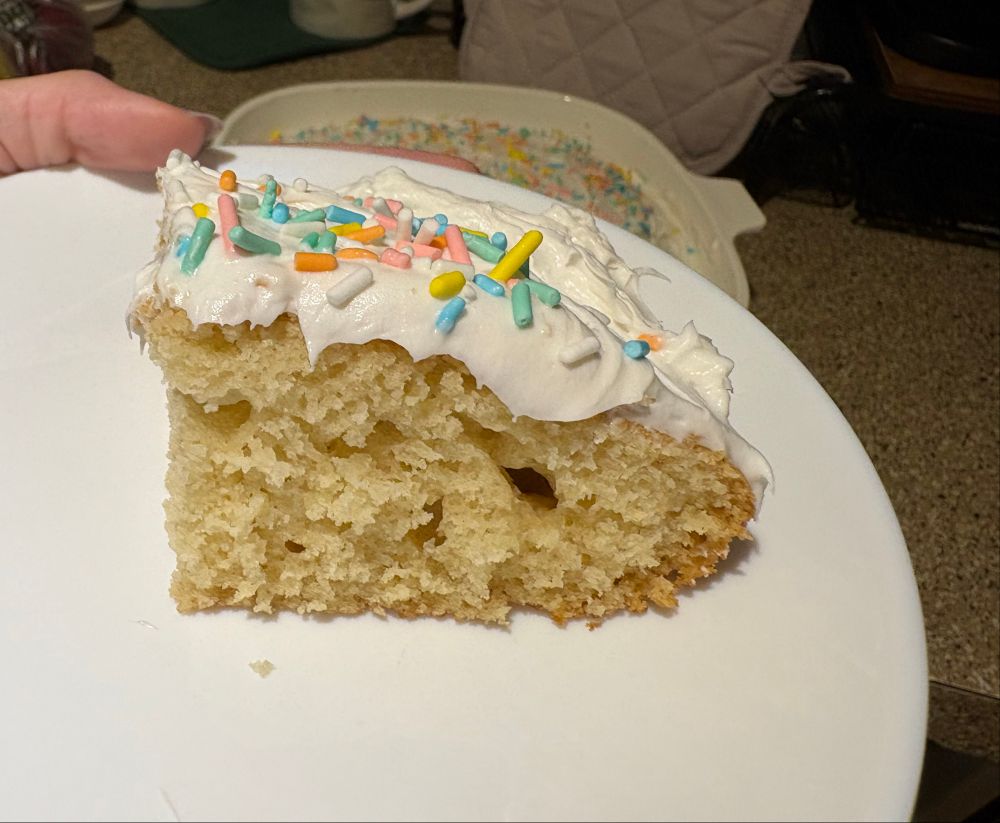 a slutty lil corner piece of vanilla cake w vanilla frosting and rainbow sprinkles (gluten and dairy free baby!!)