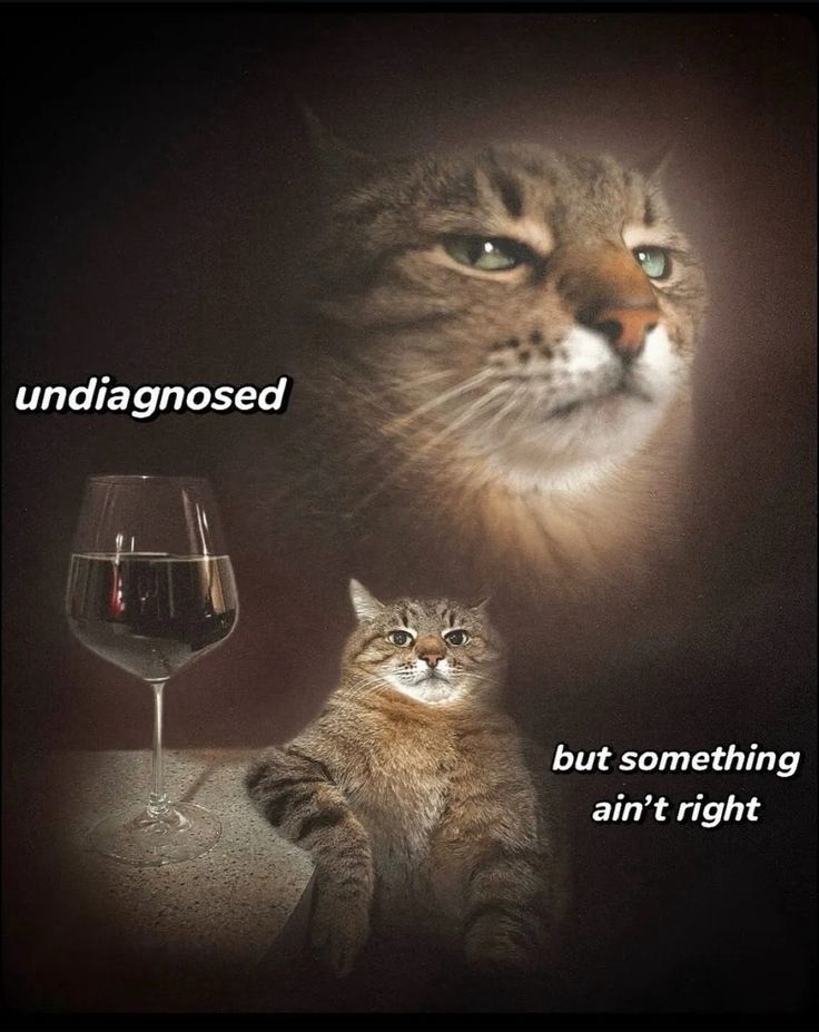 text reads “undiagnosed but something ain’t right” and there’s a big cat face in the middle and a skeptical cat with his elbow on a table and a BIG glass of wine