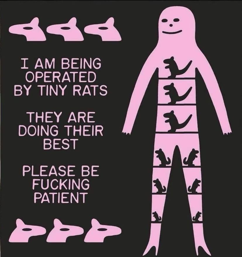 a pink human outline w rats inside and the words say “i am being operated by tiny rats. they are doing their best. please be fucking patient.”