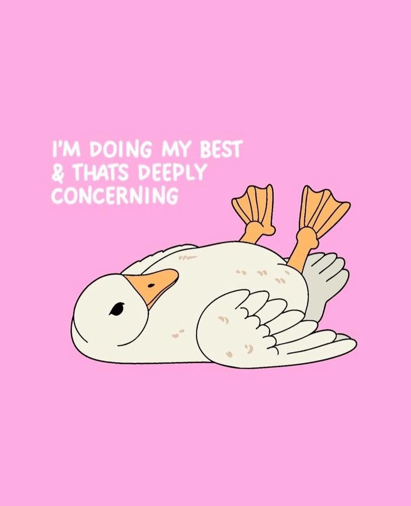 a white duck laying on its back on a pink background with the words “i’m doing my best & thats deeply concerning”