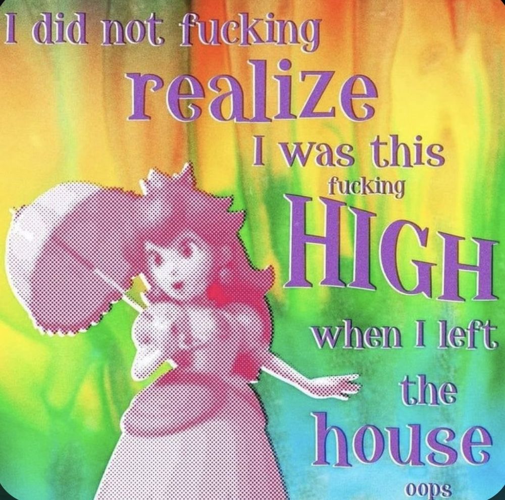 pixelated princess peach on a rainbow background with the words “i did not fucking realize i was this fucking high when i left the house oops”