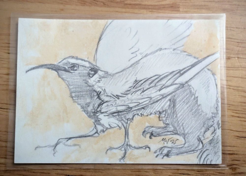 A small pencil sketch of a hybrid between a honey bird and a Honey badger. The head and front legs are birdlike with a badger back end.ñ.and wings