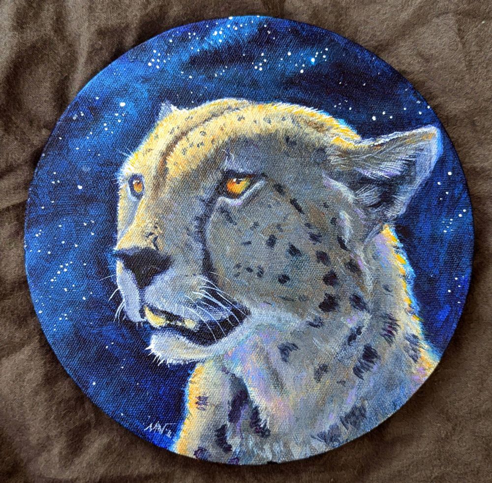 A round canvas with a portrait of a cheetah on starry background 