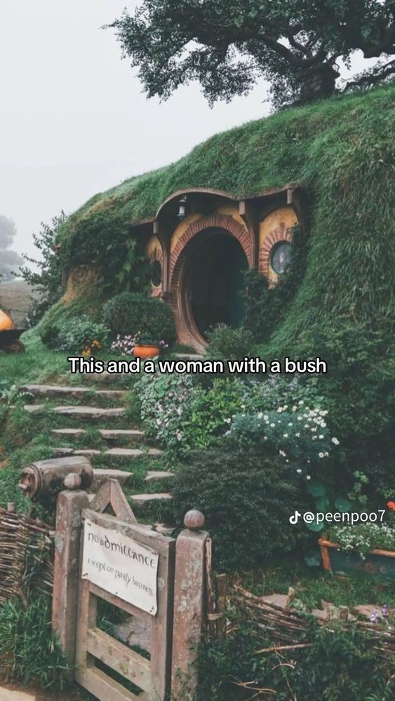 A photo of a hobbit hole with a gate from the Lord of the Rings / The Hobbit movie. Text says ‘This and a woman with a bush.’