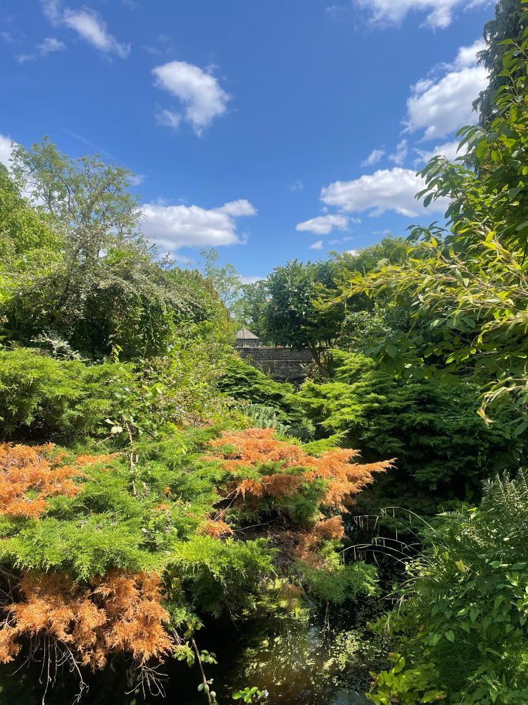 A beautiful sunny view of Dulwich park 