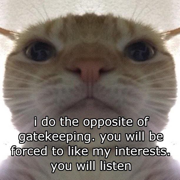 Closeup de um gato bege rajado de marrom olhando pra frente e o texto i do the opposite of gatekeeping. You will be forced to like my interests. You will listen