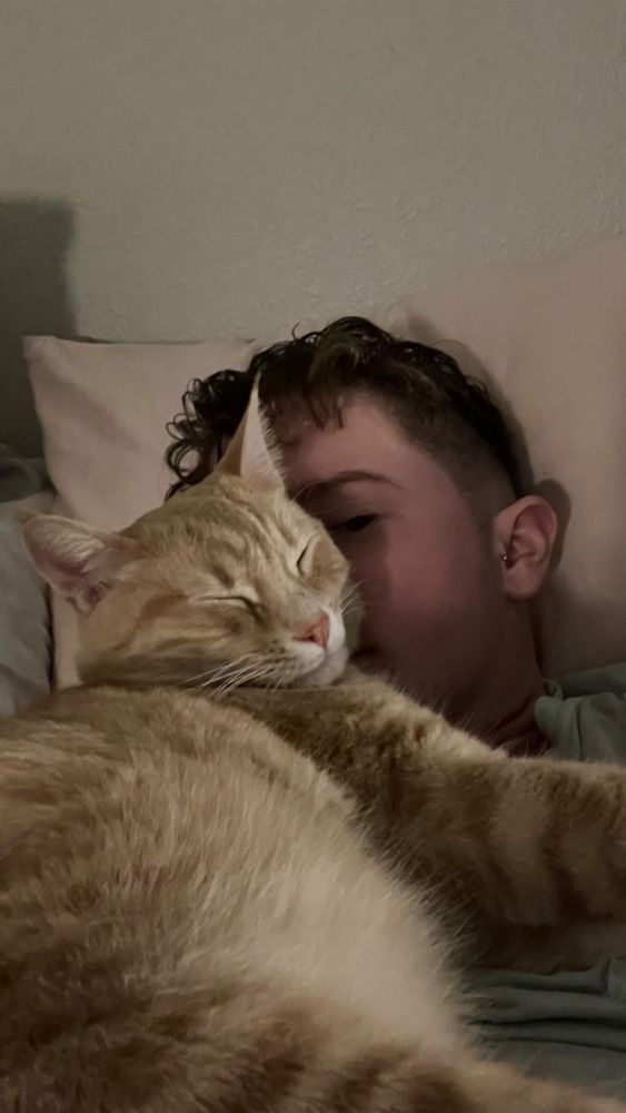 Young, sleepy orange cat laying on person’s chest, using their face as a pillow