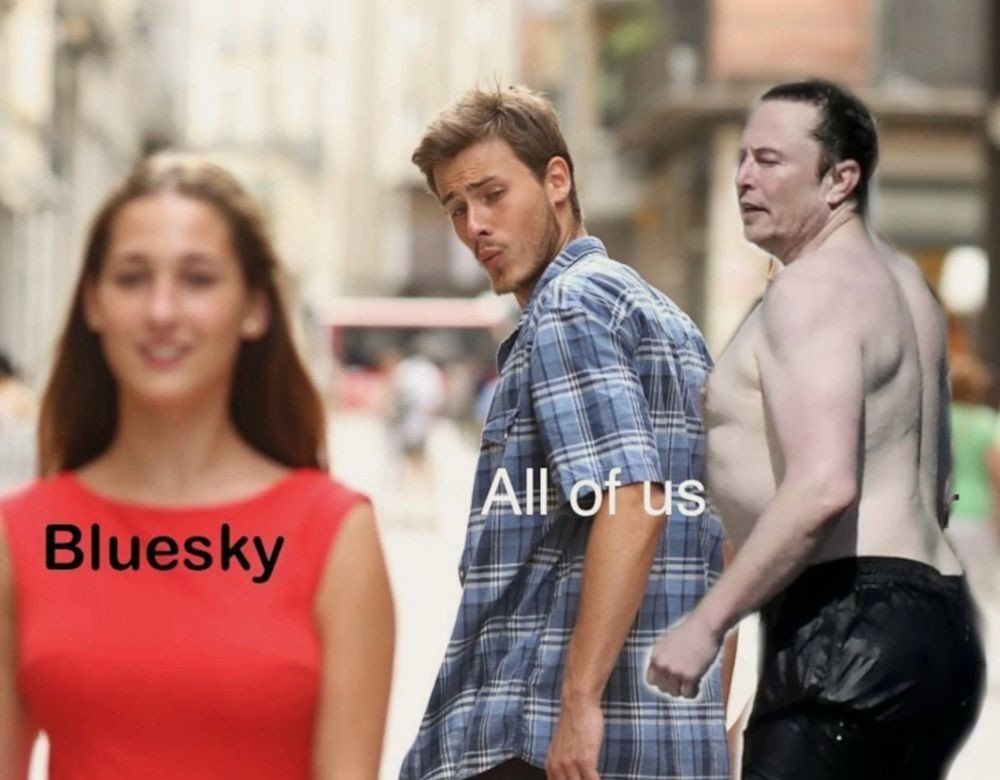 Explaining the bluesky mass migration with a meme
