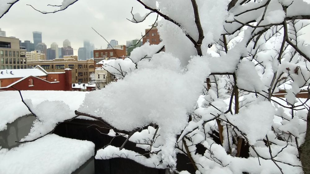 NYC snow