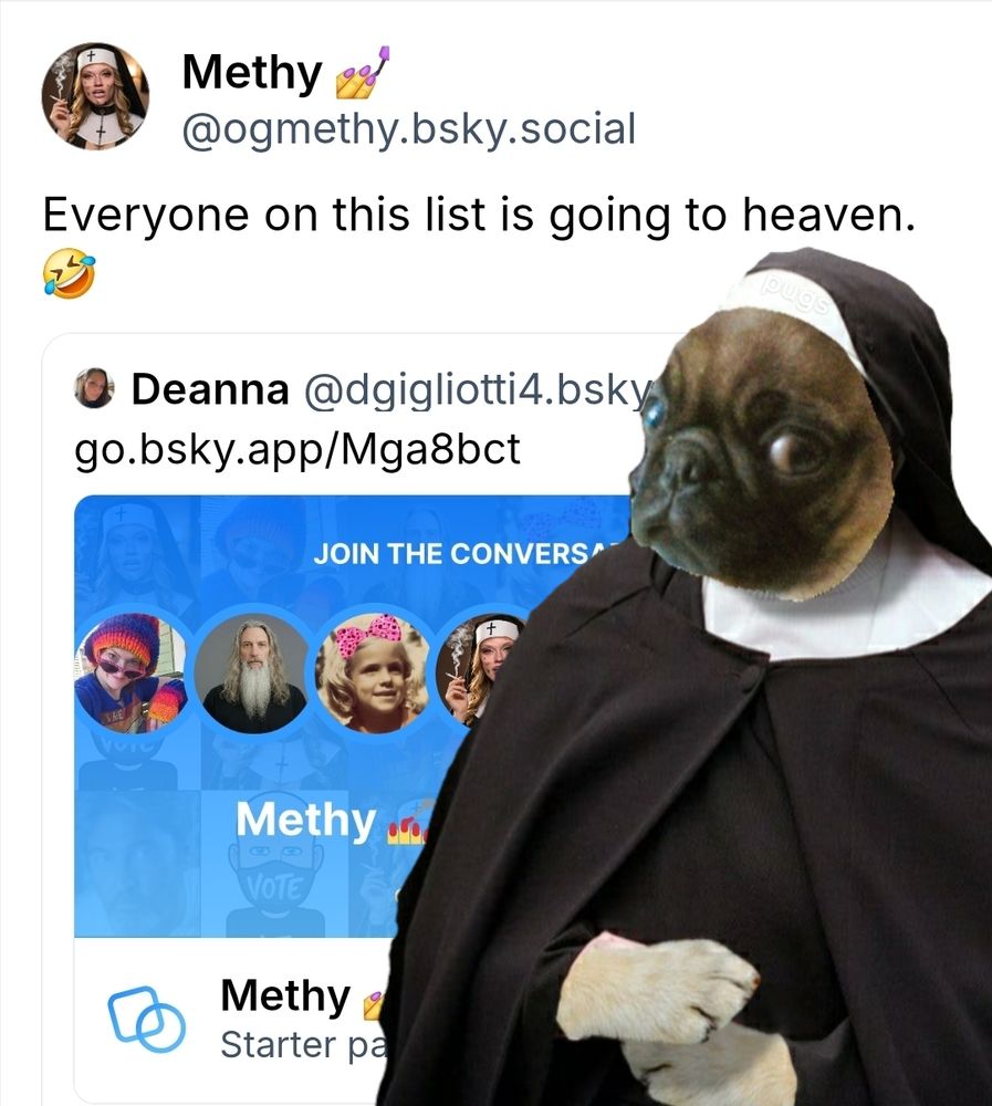 Pug nun
