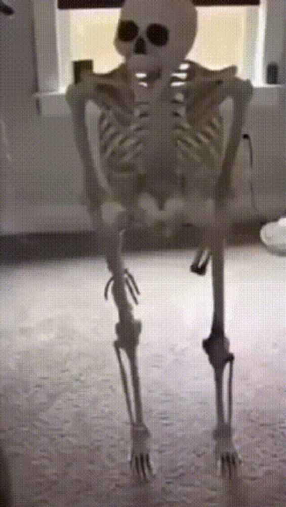 a skeleton is standing in front of a window in a dark room