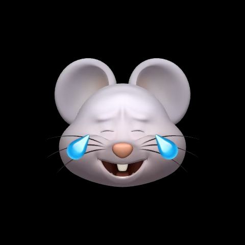 Picture of a crying mouse