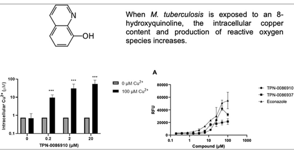 8-Hydroxyquinoline Series Exerts Bactericidal Activity against Mycobacterium tuberculosis Via Copper-Mediated Toxicity