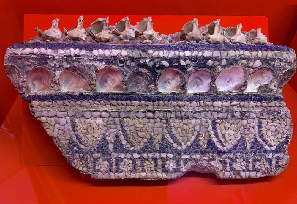Mosaic with blue and white tesserae with a geometric pattern, and two rows of shells at the top 