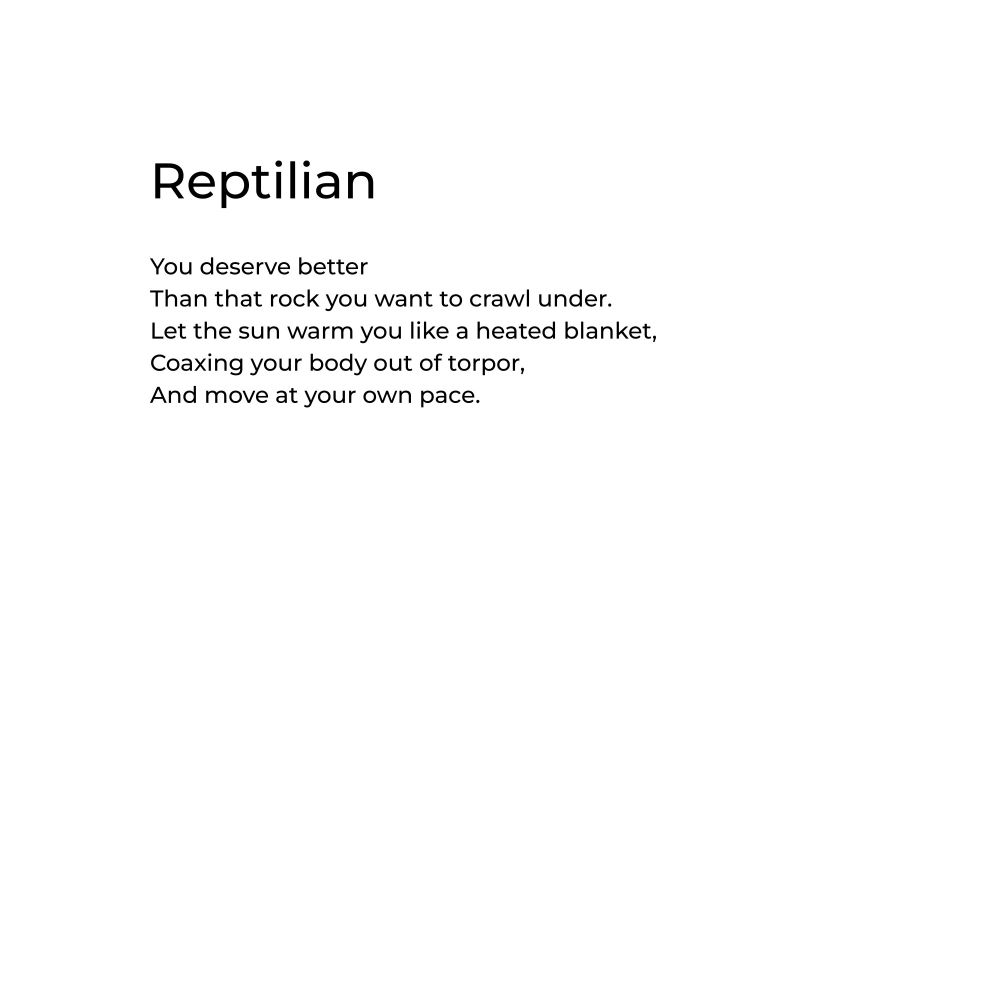 Reptilian

You deserve better
Than that rock you want to crawl under.
Let the sun warm you like a heated blanket,
Coaxing your body out of torpor,
And move at your own pace.
