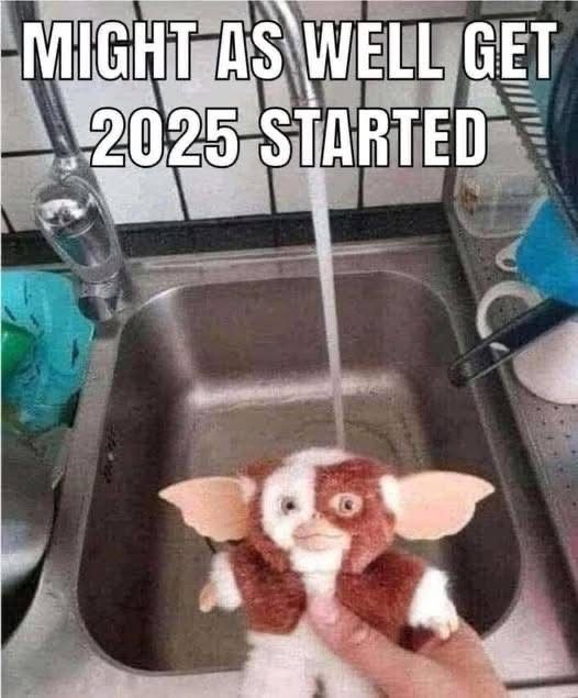 Meme showing a Gizmo toy (from the movie Gremlins) held in a hand with a sink and water running from the tap in the background with the text at the top saying “Might as well get 2025 started”