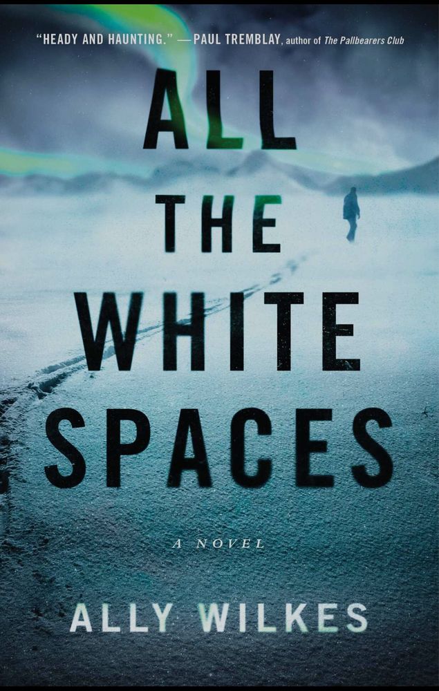 Cover of All The White Spaces, a novel by Ally Wilkes