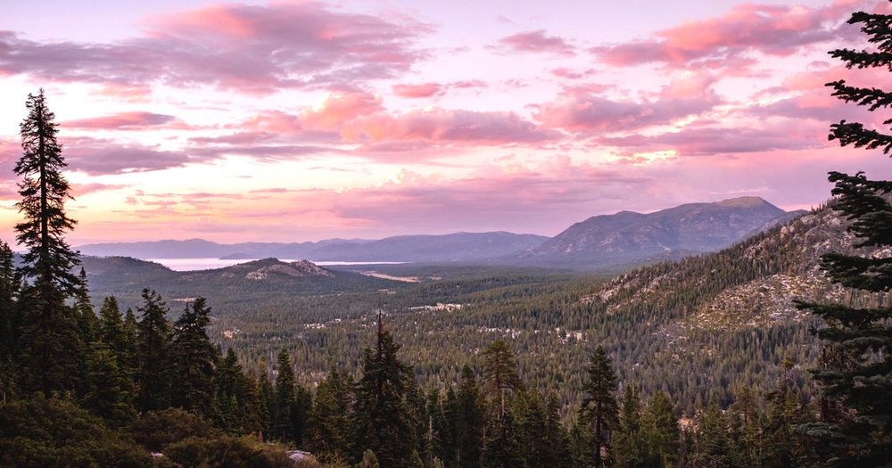 Public health officials said the person may have been bitten by an infected flea while camping in the South Lake Tahoe area.