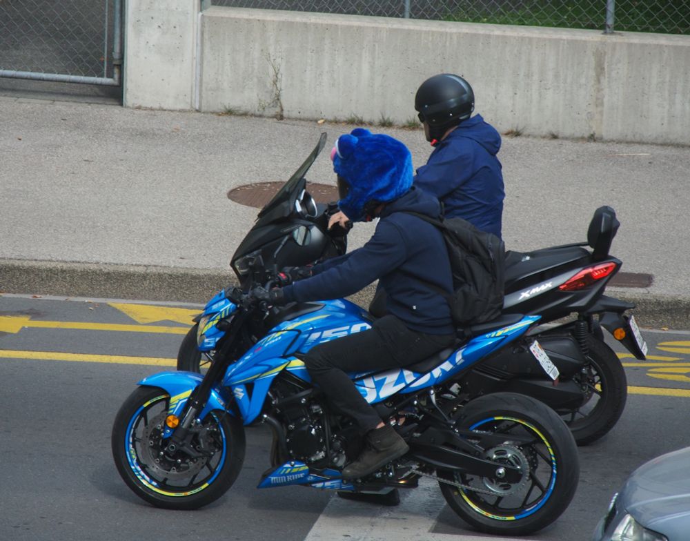 Deux motards arrêtés à un feu rouge. L'un d'entre eux porte un casque poilu bleu en forme de tête de Monomarchos.