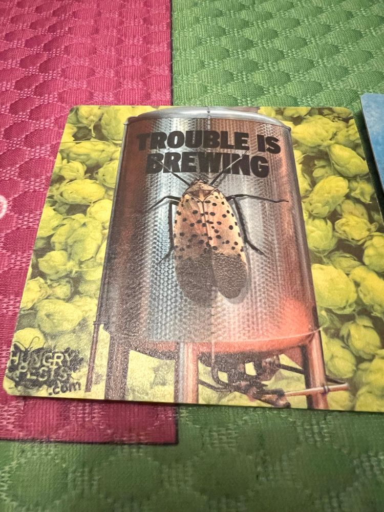 Bar coaster: Beer lovers beware! “Trouble is brewing”. A cicada crawling up a brewery vat.