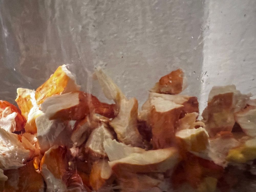 Since it was so dry, this chicken of the woods was a bit tough so I put it in a bag and marinated it overnight (olive oil, balsamic vinegar, and some garlic salt.) Next day I baked at 350 for 25min., then added to pan to sauté in butter and more olive oil. Sounds like a lot but the taste was delicious! Just like chicken! 