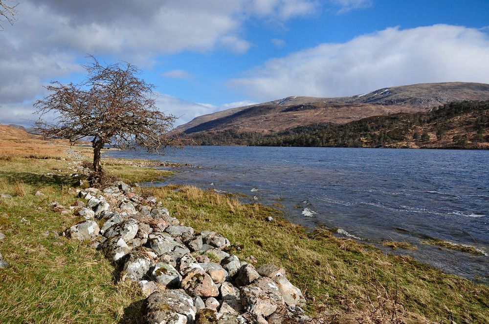Loch Arkaig in Lochaber. The image shows the near shoreline of the loch leading from the bottom right of the frame to the middle left. The loch merges with the grassy shoreline and there’s the base of a stone wall running parallel to it, passing a lone tree. The far shore of the loch, in the upper right of the frame is hilly and there are traces of snow on some of the hills.
