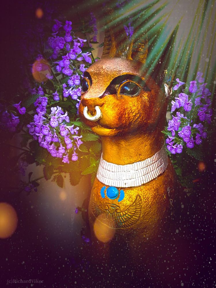 This is an edited photo of a statue of the Egyptian goddess Bast. Showing the goddess as a golden cat, with a silver collar necklace, and a silver nose ring. In a cloud of purple catnip flowers.
The statue is made of some kind of glass fiber and probably mass produced in China. I bought it 35 years ago in a New Age shop in Oslo (A long way away from Egypt) and painted it myself. I also grew the catnip. 