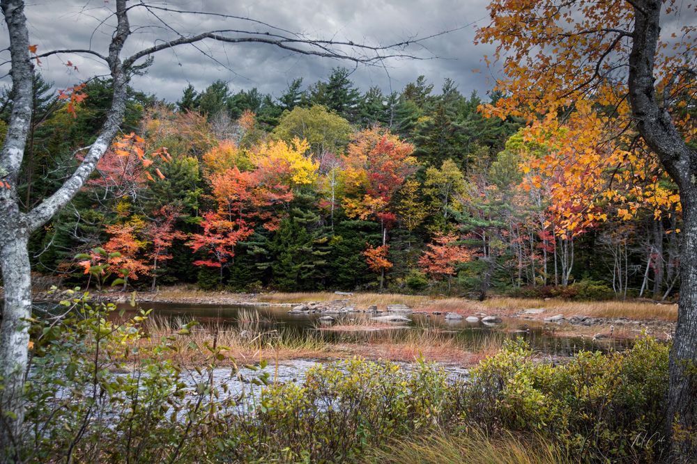 Spectacular Fall Colors in Acadia National Park