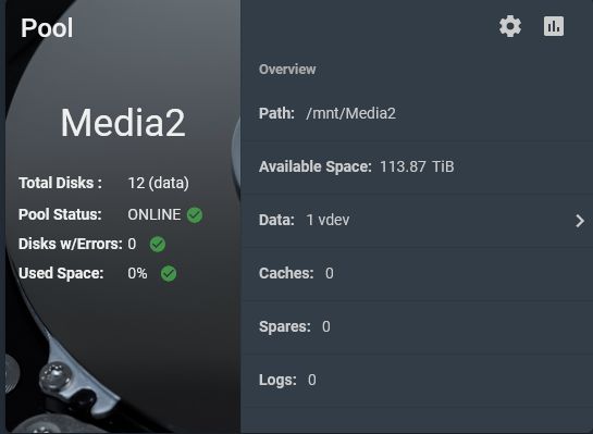 screenshot of TrueNAS storage pool info showing 113.87 TiB of free space.
