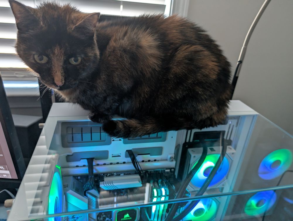 Cat sitting on top of a glass computer case The fans and components inside the case are blue and green