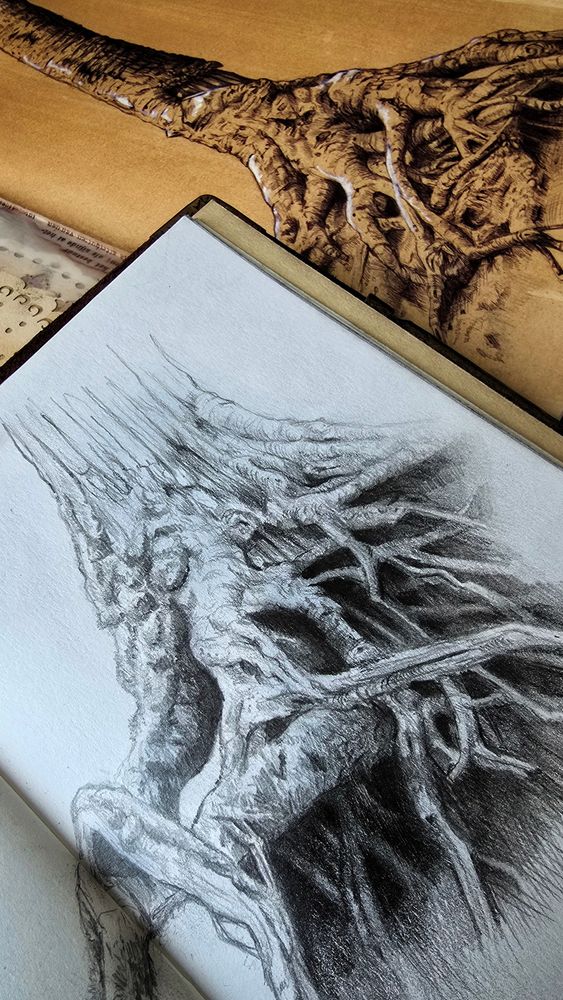 Two sketchbook pages with tree root sketches on them