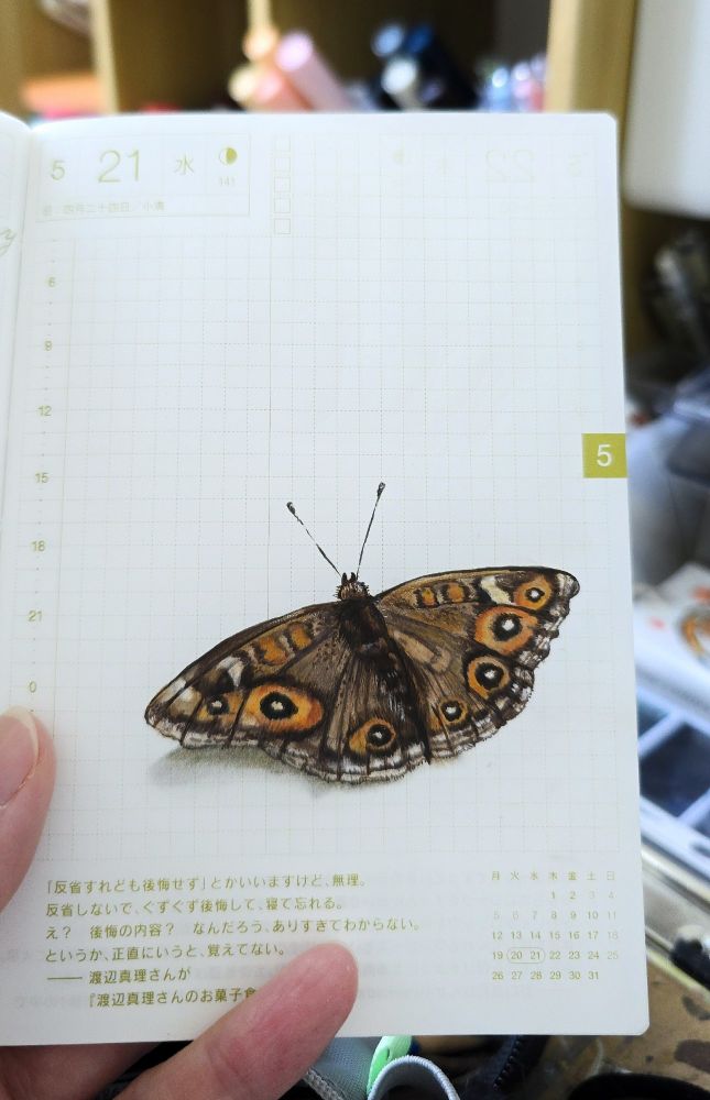 Drawing of a butterfly in a graph paper journal 