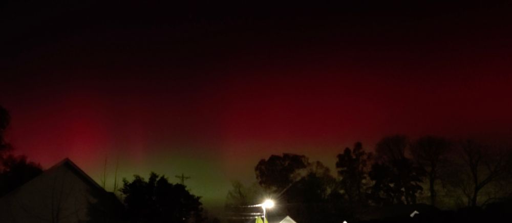 Red and green aurora behind a row of trees lit by a street light