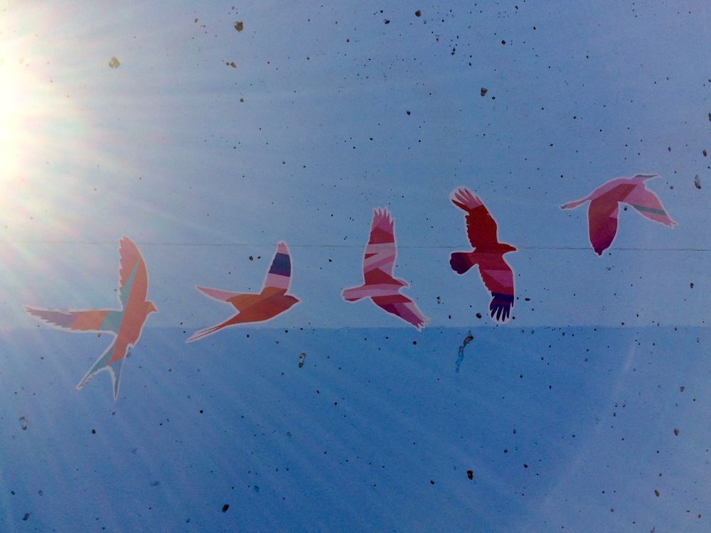 Five stylized, pink birds in flight are painted on a sky-blue concrete pillar. A lens flare emanates from the top left corner.