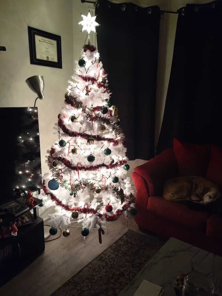 Shiny Christmas dree in the dark 