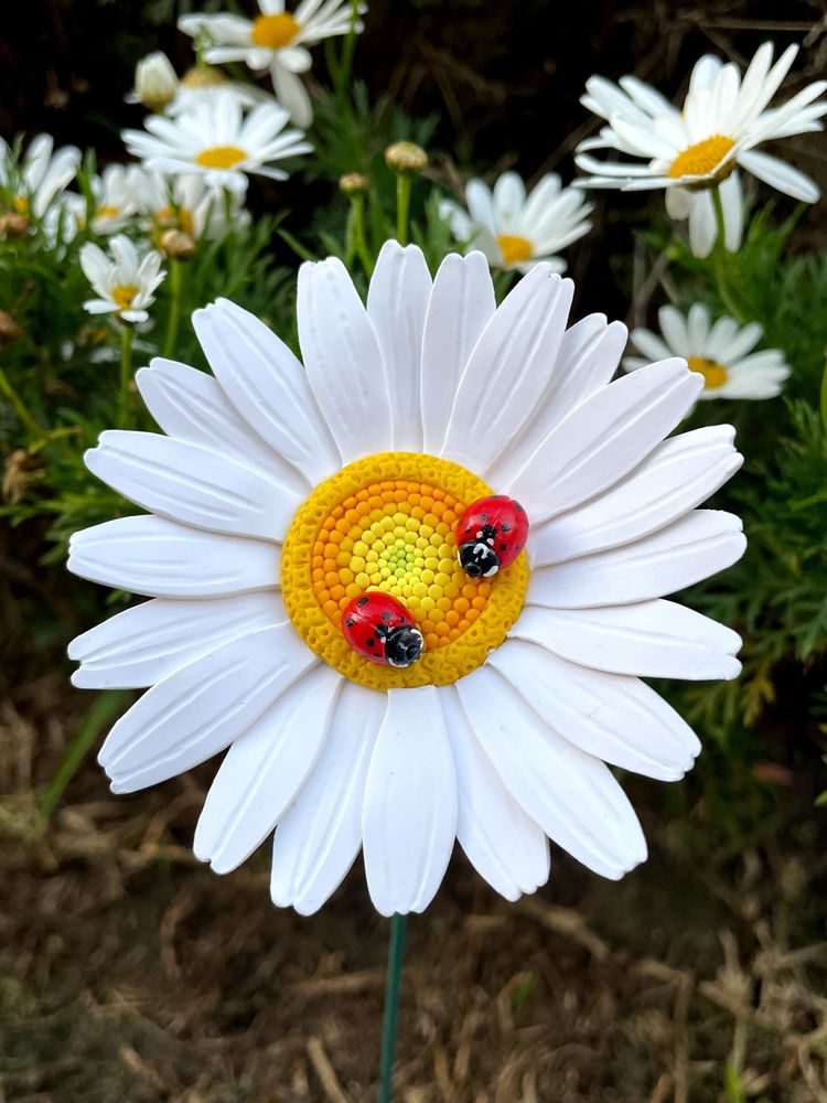 A close up of the flower showing the detail in the central disc. The color ranges from yellow-green to orange (created in a somewhat mosaic style) and is bordered by a puffy ring of gold florets. There are two Ladybugs grazing on the pollen.