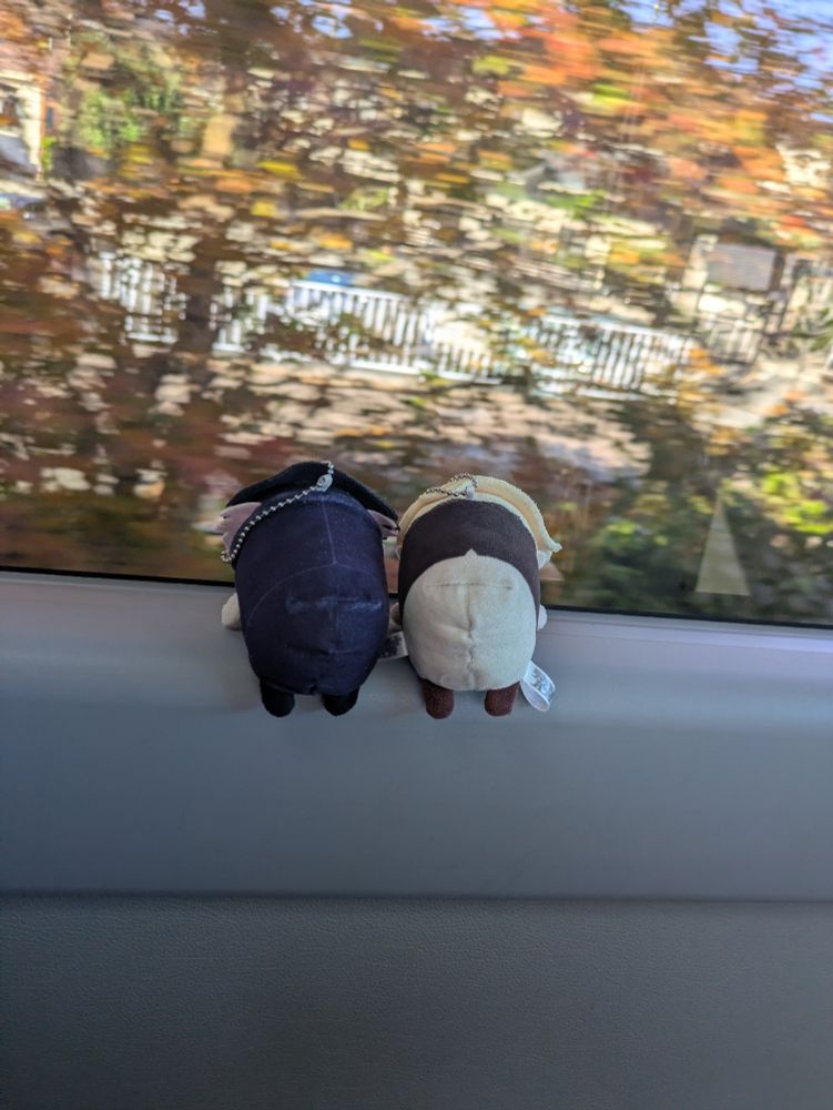 車窓からの風景を楽しむごろさし