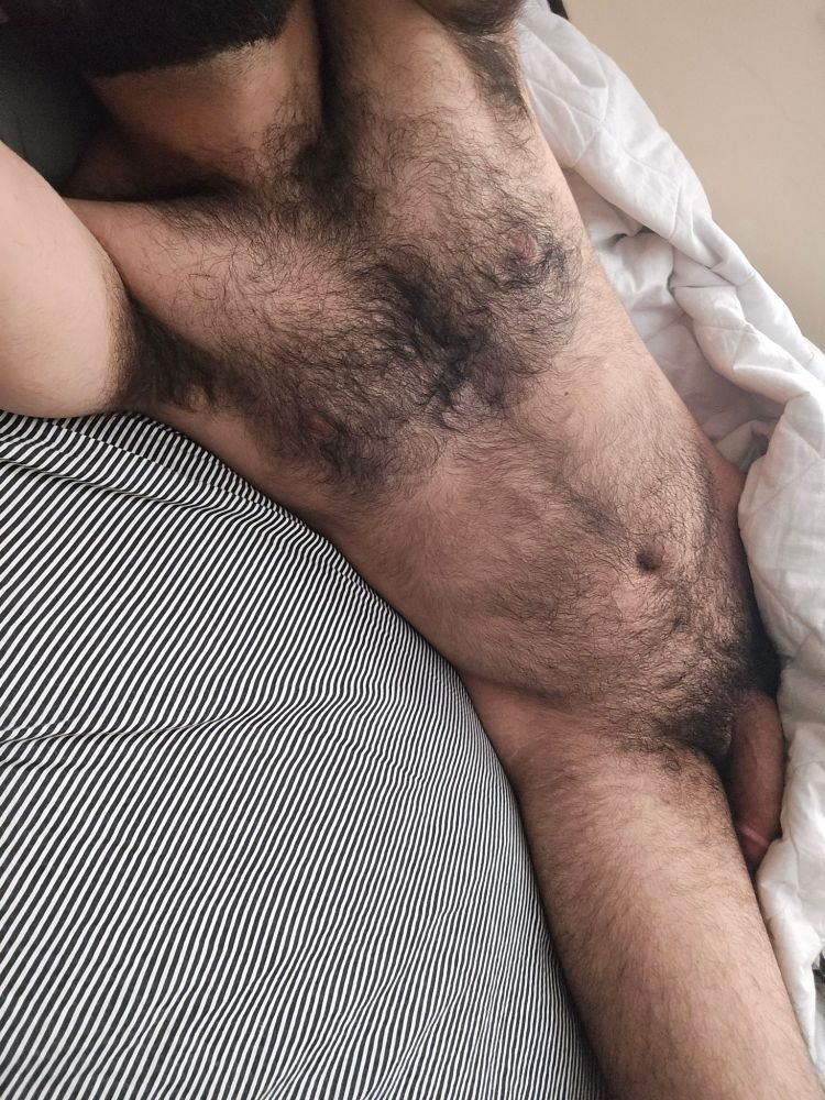 A hairy guy showing his hairy armpits, chest, bush, and heavy soft cock