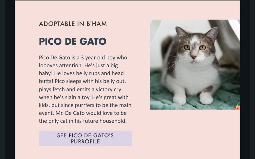 Official kitty cat profile from the cage website 