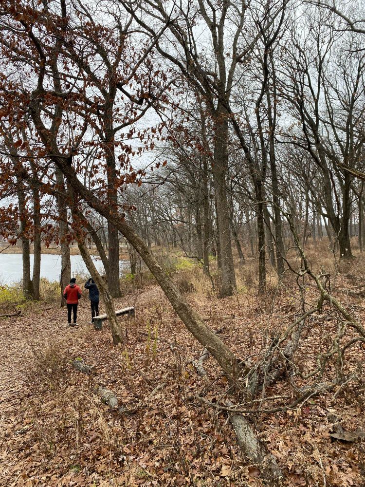Two people walking a wooded trail.
